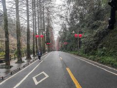 -青城山