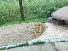 -北京野生动物园