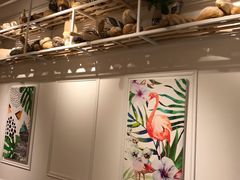 -罗莎蛋糕(魔法师司门口店)