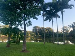 -中国科学院西双版纳热带植物园
