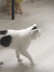 -Bodal美甲美睫皮肤管理工作室