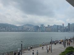-星光大道