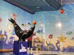 -太平洋海底世界