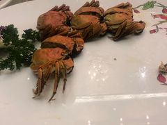 -金鼎香辣诱惑(宁康西路店)