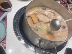 -洪氏嗨捞·猪肚鸡火锅(阳光天地店)