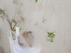 -一杯潮茶·专注潮汕茶饮(十二中创始店)