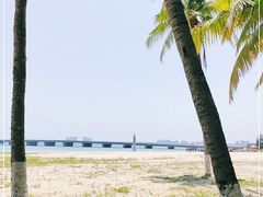 -东郊椰林
