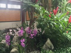 -新加坡佛牙寺龙华院