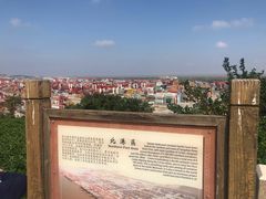 -洋山深水港