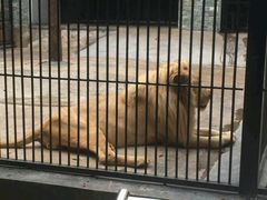 -广东茂名森林公园