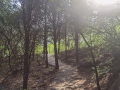 -北京凤凰岭