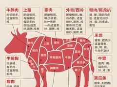 -潮汕三宝鲜牛肉火锅