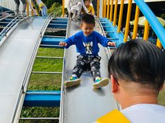 -东平国家森林公园