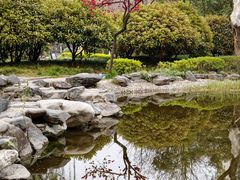 -木塔寺遗址生态公园