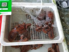 -大湾区中央湿地公园-十九涌