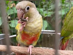 -南宫五洲植物乐园