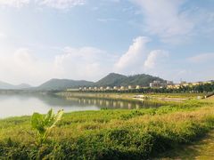 -风云岭森林公园