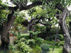 -Chom Cafe and Restaurant