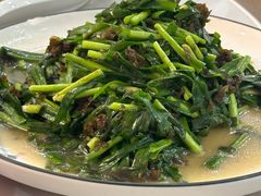 地衣韭菜-紫藤园·天目湖大鱼头(南山竹海店)