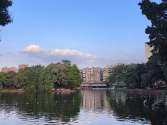-荔湾湖公园