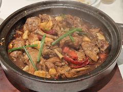 新会陈皮焖神仙鸭-欧记大排档·景德菜(上海首店)