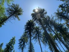 -硗碛藏寨·神木垒景区