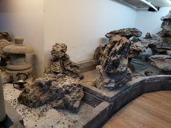 -白兔子密室(长寿路店)