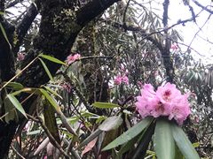 -神农架景区