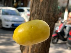 恐龙蛋-雪儿钱局泡菜