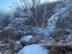 -云岫谷游猎自然风景区