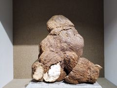 -北京中医药大学-中医药博物馆