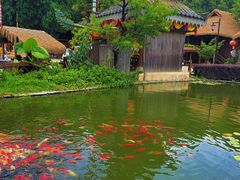-云南民族村