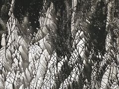 -深圳市当代艺术与城市规划馆