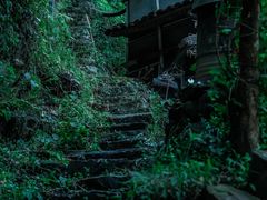 -林坑古村落