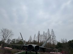 -成飞公园