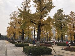 -百林公园-两江幸福广场