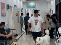 -派美特宠物医院·核磁CT·骨科肿瘤·疑难转诊(沈农禾丰店)