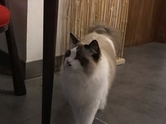 -咖法森林·咖啡  酒吧(天河店)