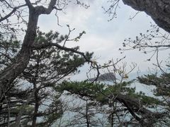 -棒棰岛宾馆景区