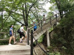 -王顺山国家森林公园