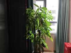 -惠州漫悦花园度假酒店(西湖水东街旗舰店)