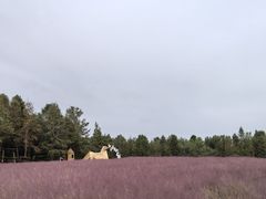 -同里国家湿地公园