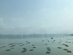 -一蘭拉面(铜锣湾店)
