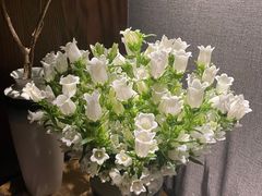 -荣轩(新荣记环球金融中心店)
