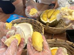 -都念榴莲·城市榴莲