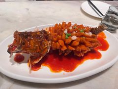 -新梅华餐厅(星悦汇店)