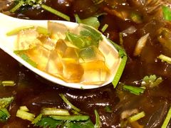 -鲁前海沿儿