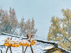 -篁岭景区