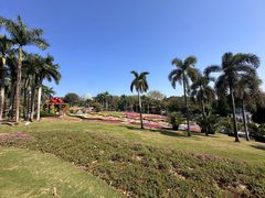 -盆满钵满·国家非遗传承(云台店)