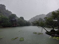 -云溪植物园